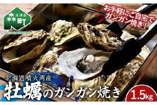 北海道噴火湾産 牡蠣のガンガン焼き 1.5kg 海産物 加工品 ほたて 帆立 ホタテ 魚介類 海鮮 森町 ふるさと納税 mr1-0982