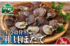 北海道噴火湾産 殻付き稚貝ほたて 3kg（段ボールまたは発泡入り） 海産物 加工品 ほたて 帆立 ホタテ 魚介類 海鮮 森町 ふるさと納税 mr1-0984