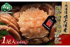 【北海道 噴火湾産】 浜ゆで毛がに 1尾　約440g ＜カネキチ澤田水産＞ かに カニ 蟹 ガニ がに 森町 ふるさと納税 北海道 毛蟹 毛かに 毛ガニ 毛カニ mr1-1069
