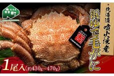 【北海道 噴火湾産】 浜ゆで毛がに 1尾 約430g～470g ＜カネキチ澤田水産＞ かに カニ 蟹 ガニ がに 森町 ふるさと納税 北海道 毛蟹 毛かに 毛ガニ 毛カニ mr1-1069