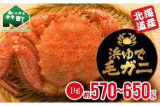【北海道産】 浜ゆで毛ガニ×1尾 mr1-0807