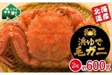 【北海道産】 浜ゆで毛ガニ×2尾 計600g前後 mr1-1059