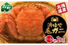 【北海道産】 浜ゆで毛ガニ約1kg（3～4尾入り） mr1-1060