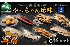 やっちゃん珍味バラエティBセット 8種8袋 やっちゃん珍味 mr1-0992