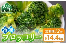 【12ヶ月定期便】小分け カット済み ブロッコリー 冷凍 1.2kg×12回 北海道森町産 野菜 おかず お弁当 便利 小分け カット済み ブロッコリー 冷凍 mr1-1007