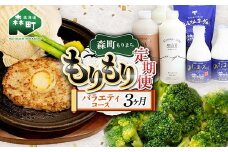 森町もりもり定期便3ヶ月【バラエティコース】 定期便 北海道 3ヶ月 3回 肉 野菜 牛乳 海鮮 コース 大容量 mr1-1125