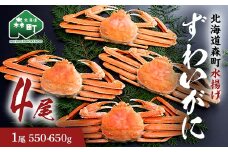 【12/27~12/31にお届け】ずわいがに（550g～650g） 4尾入り 北海道森町水揚げ かに カニ 蟹 ガニ がに 森町 ふるさと納税 北海道 ずわいかに ズワイガニ mr1-1106
