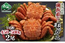 【12/27~12/31にお届け】北海道 毛ガニ 容量が選べる 前浜茹で毛がに 約450g~500g 2尾 かに カニ 蟹 ガニ がに 森町 毛蟹 毛かに 毛がに 毛カニ 毛ガニ mr1-1107