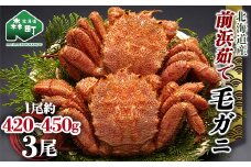 【12/27~12/31にお届け】北海道 毛ガニ 容量が選べる 前浜茹で毛がに 約420g～450g 3尾 かに カニ 蟹 ガニ がに 森町 毛蟹 毛かに 毛がに 毛カニ 毛ガニ mr1-1118