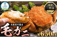 先行予約【厳選三特品】北海道産近海毛ガニ650g前後×1尾 2025年9月上旬発送開始予定【 毛がに 北海道 かに 蟹 かにみそ 小分け 毛蟹 八雲 海産物 魚介類 水産物応援 水産物支援   】
