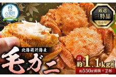 先行予約【厳選三特品】北海道産近海毛ガニ550g前後×2尾2025年9月上旬発送開始予定【 毛がに 北海道 かに 蟹 かにみそ 小分け 毛蟹 八雲 海産物 魚介類 水産物応援 水産物支援 】