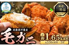 先行予約【厳選三特品】北海道産近海毛ガニ550g前後×3尾 2025年9月上旬発送開始予定【 毛がに 北海道 かに 蟹 かにみそ 小分け 毛蟹 八雲 海産物 魚介類 水産物応援 水産物支援 】