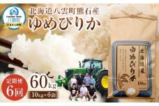 先行予約【6回定期便】北海道八雲町熊石産 令和7年産ゆめぴりか(精白米) 10kg(25年10月上旬～発送開始) 【 北海道八雲町熊石産 ゆめぴりか 10kg 精白米 米 お米 おこめ コメ こめ おうちごはん 家庭用 八雲町 北海道 】