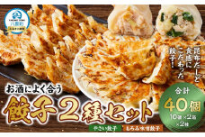 【食感と昆布だしにこだわり】 お酒によく合う餃子2種セット40個(野菜餃子1箱 10個入り×2箱・もろみ味噌餃子1箱 10個入り×2箱)【 餃子 加工品 冷凍 おつまみ つまみ 食品 グルメ お取り寄せ お取り寄せグルメ 八雲町 北海道 】