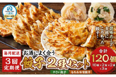 【食感と昆布だしにこだわり】 【3回定期便】お酒によく合う餃子2種セット40個(野菜餃子1箱 10個入り×2箱・もろみ味噌餃子1箱 10個入り×2箱)【 餃子 加工品 冷凍 おつまみ つまみ 定期便 食品 グルメ お取り寄せ お取り寄せグルメ 八雲町 北海道 】