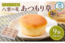 【ギフト用】どら王オススメお菓子 八雲の花 あつもり草 9個入 【 和菓子 菓子 おかし 食品      】