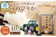 【先行受付】【4回定期便】北海道八雲町熊石産 ゆめぴりか(精白米) 10kg　(令和7年産)【 米 お米 新米 ゆめぴりか 精白米 定期便 10kg 食品 グルメ お取り寄せ お取り寄せグルメ  八雲町 北海道 】