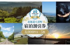 北海道八雲町　宿泊割引券3,000円分×5枚【 宿泊券 割引券 旅行 ホテル ホテルチケット 観光 宿泊 ご当地 八雲町 北海道 】