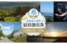 北海道八雲町　宿泊割引券3,000円分×10枚【 宿泊券 割引券 旅行 ホテル ホテルチケット 観光 宿泊 ご当地 八雲町 北海道 】