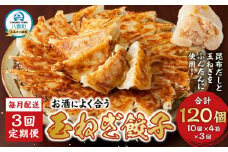 【食感と昆布だしにこだわり】 【3回定期便】お酒によく合う玉ねぎ餃子40個(10個×4箱)【 餃子 ぎょうざ 玉ねぎ餃子 冷凍餃子 加工品 冷凍 おつまみ つまみ 食品 グルメ お取り寄せ お取り寄せグルメ 八雲町 北海道 】