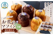 お花のマフィン ３種詰め合わせ（プレーン、チョコ、キャラメル）【 マフィン 洋菓子 菓子 お菓子 おかし お菓子詰め合わせ 食品 グルメ お取り寄せ お取り寄せグルメ  八雲町 北海道 】