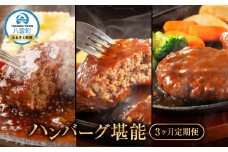 地元新聞で紹介！ 【3ヶ月定期便】ハンバーグ堪能