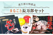 まるごと長万部セット ふるさと納税 かにめし カニめし かに飯 ほたて ホタテ 帆立 毛ガニ 毛がに しゅうまい シュウマイ 焼売 ジェラート アイス 冷凍 名物 長万部町 北海道 送料無料 OSMC002