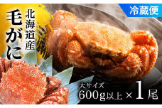 【2025年9月以降発送予定】毛がに大サイズ１ハイ（冷蔵） ふるさと納税 かに カニ 蟹 毛ガニ 毛蟹 塩ゆで ボイル ゆでたて 冷蔵 鍋 パスタ かにめし 炊き込みご飯 かにみそ かに味噌 甲羅盛り 北海道 長万部町 送料無料 OSMA005