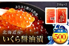 北海道産 いくら醤油漬（冷凍）２５０ｇ×２パック入り ふるさと納税 いくら 鮭卵 醤油漬 いくらしょうゆづけ 北海道 長万部町 送料無料 OSMM006