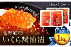 北海道産 いくら醤油漬２個セット（冷凍）２５０ｇ×２パック入り　２セット ふるさと納税 いくら イクラ 醬油漬け 北海道 長万部町 送料無料 OSMM004
