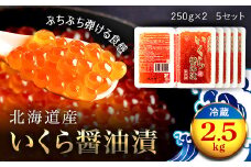 北海道産 いくら醤油漬（冷凍）２５０ｇ×２パック入り　５セット ふるさと納税 いくら イクラ 醬油漬け 北海道 長万部町 送料無料 OSMM003