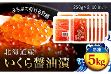 北海道産 いくら醤油漬（冷凍）２５０ｇ×２パック入り　１０セット ふるさと納税 いくら イクラ 鮭卵 醬油漬け 北海道 長万部町 送料無料 OSMM007