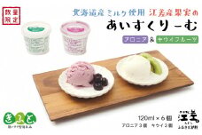 北海道産ミルク使用　江差産果実のアイスクリーム　アロニア＆キウイフルーツ【思いやり型返礼品】各120ml×3個（計6個）　「とろけるくちどけ　あふれるミルク感」