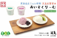 北海道産ミルク使用　江差産果実のアイスクリーム　アロニア＆キウイフルーツ【思いやり型返礼品】各120ml×3個（計6個）　「とろけるくちどけ　あふれるミルク感」