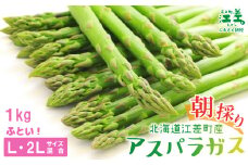 【夏芽 順次出荷中】2025年 北海道江差町産 アスパラガス【L～2Lサイズ】 1kg　約20本　太い！ 甘い！ ジューシー！　朝採り　農家直送　新鮮　鮮度保持　北海道　旬野菜　グリーンアスパラ　アスパラ　ギフト　贈答