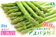 【夏芽 順次出荷中】2025年 北海道江差町産 アスパラガス【L～2Lサイズ】 2kg　約40本　太い！ 甘い！ ジューシー！　朝採り　農家直送　新鮮　鮮度保持　北海道　旬野菜　グリーンアスパラ　アスパラ　ギフト　贈答