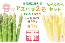 【春芽 順次発送中】2025年 北海道江差町産 「春」のアスパラ２色食べくらべセット 計1kg　ホワイトアスパラ 500g ＆ グリーンアスパラ 500g　L～2Lサイズ　朝採り　農家直送　みずみずしい　新鮮　アスパラガス