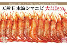 北海道産 違いが分かる天然日本海シマエビ 大サイズ 500g　色鮮やかで香りよし 濃厚な甘み 食べれば分かる格別の味！　国産　江差近海産　天然もの　エビかご漁師直送　最良品厳選　生食可　お刺身　天ぷら　エビフライ　海老
