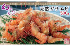 北海道産 「幻のえび」希少な天然ガサエビ 500g　引き締まった身肉と飽きのこない旨味 濃いエビの味が楽しめます！　国産　江差近海産　天然もの　エビかご漁師直送　最良品厳選　生食可　お刺身　天ぷら　エビフライ　海老 