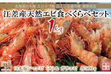 《漁獲があり次第順次出荷》北海道産 天然えび食べくらべセット　計1kg　濃厚な甘みの日本海シマエビ（大）500g＆飽きのこない旨みのガサエビ500g　国産　江差近海産　天然もの　エビかご漁師直送　最良品厳選　生食可　お刺身　天ぷら　エビフライ　海老