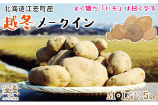 【早期予約 2026年2月より順次出荷】北海道産 越冬メークイン M・L混合 5kg　低温熟成　糖度アップ　訳あり　農家直送　越冬じゃがいも　越冬いも　よく寝たいも　甘い　芋の塩煮にぴったり　じゃがバター　いかの塩辛と一緒にどうぞ