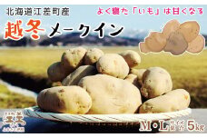 【早期予約 2026年2月より順次出荷】北海道産 越冬メークイン M・L混合 5kg　低温熟成　糖度アップ　訳あり　農家直送　越冬じゃがいも　越冬いも　よく寝たいも　甘い　芋の塩煮にぴったり　じゃがバター　いかの塩辛と一緒にどうぞ