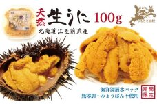 ＼2026年先行予約／北海道 江差前浜産 生うに 100g【天然・無添加・みょうばん不使用】令和8年　江差産キタムラサキウニ　日本海熊石産海洋深層水　塩水ウニ　素材を生かした自然の味　国産うに　雲丹　100グラムパック個包装