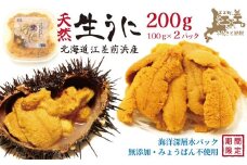 ＼2026年先行予約／北海道 江差前浜産 生うに 200g（100g×2パック）【無添加・みょうばん不使用】令和8年　江差産天然キタムラサキウニ　日本海熊石産海洋深層水　塩水ウニ　素材を生かした自然の味　国産うに　雲丹　100グラムパック個包装