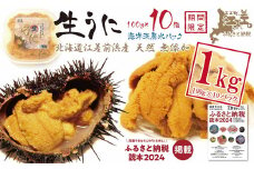 【漁があり次第順次発送】北海道 江差前浜産 生うに たっぷり 1kg（100g×10パック）【無添加・みょうばん不使用】江差産天然キタムラサキウニ　日本海熊石産海洋深層水　塩水ウニ　素材を生かした自然の味　国産うに　雲丹　100グラムパック個包装
