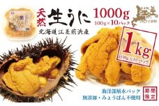 ＼2026年先行予約／北海道 江差前浜産 生うに たっぷり 1kg（100g×10パック）【無添加・みょうばん不使用】令和8年　江差産天然キタムラサキウニ　日本海熊石産海洋深層水　塩水ウニ　素材を生かした自然の味　国産うに　雲丹　100グラムパック個包装