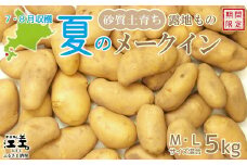【7月頃～順次出荷】砂質土育ち「夏」メークイン M・L混合5kg　露地もの　手掘り　江差産メークイン　北海道のじゃがいも　芋の塩煮　肉じゃが　カレー　シチュー　コロッケ　色々なお料理に　北海道産