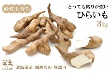 【早期予約 10月より順次出荷予定】北海道産 ひらいも  3kg　砂質土育ち とっても粘りが強い 北海道の山芋　もちもち食感　露地もの　無漂白　ねばり芋　やまと芋　長芋　自然薯　山かけ　とろろ　いももち　豚汁