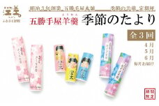 【早期予約】《3か月定期便》五勝手屋羊羹『季節のたより』全3回【令和7年4月～6月】毎月発送　期間限定ようかん　創業150年 五勝手屋本舗　保存料不使用　和菓子　銘菓　名物　贈答用　ギフト　五勝手屋さんの定期便
