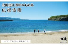 北海道江差町かもめ島応援寄附　江差のシンボル「かもめ島」の環境保全・景観保護・にぎわい創出支援【返礼品なし】